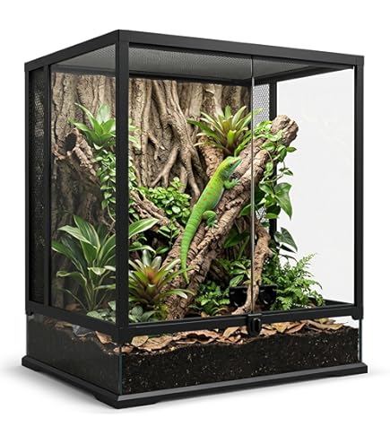 Exo Terra Natural Glass Reptile Terrarium - Small Low - 45 W cm x